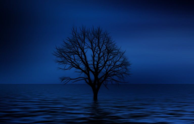 bpd, borderline personality disorder, mental health, support for carers, information, recovery